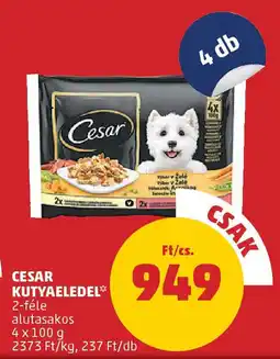 Cesar kutyaeledel