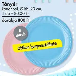 Tedi Tányér ajánlat