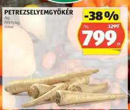 Petrezselyemgyökér