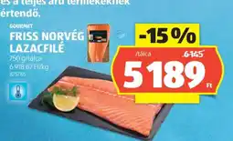 ALDI GOURMET FRISS NORVÉG LAZACFILÉ ajánlat