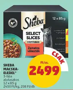 Sheba macska- eledel