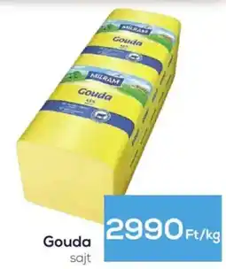 Gouda sajt