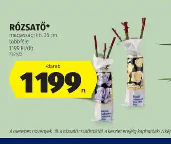 ALDI Rzsatő ajánlat