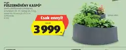 ALDI Belavi Fűszernövény Kasp ajánlat