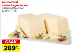 Ammerland edami és gouda sajt