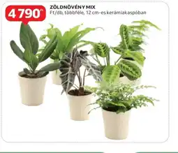 Auchan Zöldnövény Mix ajánlat
