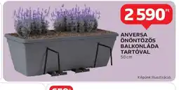 Auchan Anversa önöntözős balkonláda tartóval ajánlat
