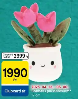 Tesco Bobballs plüssnövény ajánlat