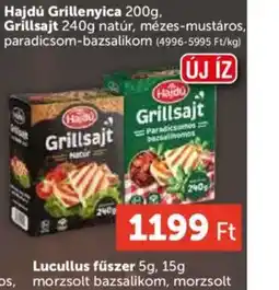 PRIVÁT Hajdú Grillsajt ajánlat