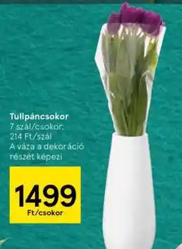 Tesco Tulipáncsokor ajánlat