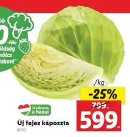 Lidl Új fejes káposzta ajánlat