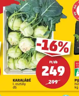 PENNY Karalábé ajánlat