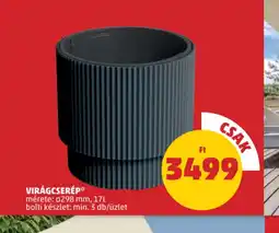 PENNY Virágcserép ajánlat