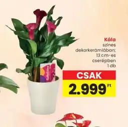 Spar Kála ajánlat