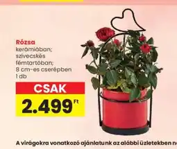 Spar Rzsa ajánlat