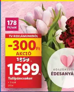Lidl Tulipáncsokor ajánlat