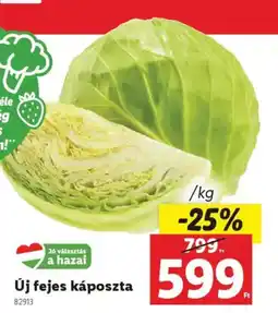 Lidl Új fejes káposzta ajánlat