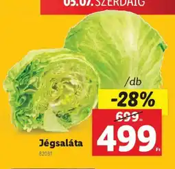 Lidl Jégsaláta ajánlat