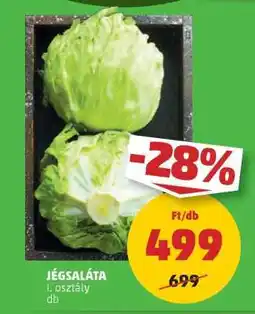 PENNY Jégsaláta ajánlat