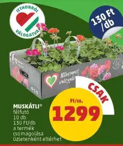 PENNY Muskátli ajánlat
