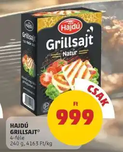 PENNY HAJDÚ GRILLSAJT ajánlat
