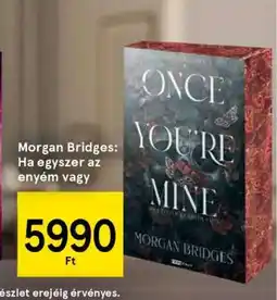 Tesco Morgan Bridges: Ha egyszer az enyém vagy ajánlat