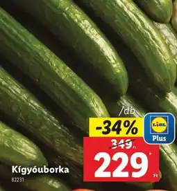 Kígyóuborka