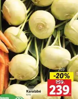Lidl Karalábé ajánlat