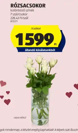 ALDI Rzscsokor ajánlat