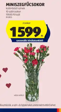 ALDI Miniszegfűcsokor ajánlat
