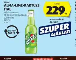 ALDI Topjoy Alma-Lime-Kaktusz Ital ajánlat