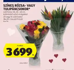 ALDI Színes rzsa- vagy tulipáncsokor ajánlat
