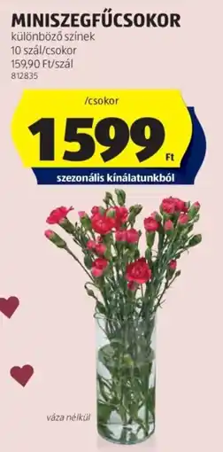 ALDI Miniszegfűcsokor ajánlat