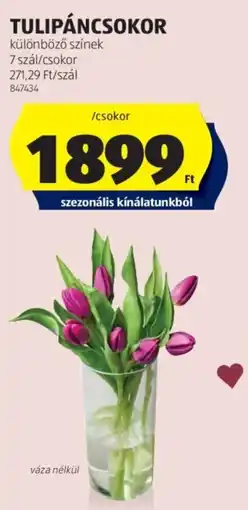 ALDI Tulipáncsokor ajánlat