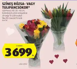 ALDI Színes rózsa- vagy tulipáncsokor ajánlat