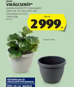 ALDI Virágcserép ajánlat