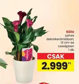 Spar Kála ajánlat