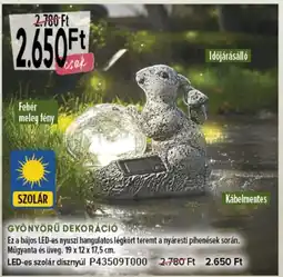 Gyönyörű dekoráció