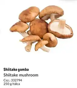 Metro Shiitake gomba ajánlat