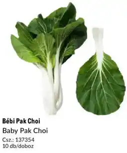 Metro Bébi Pak Choi ajánlat