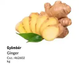Metro Gyömbér ajánlat