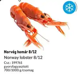 Metro Norvég homár 8/12 ajánlat