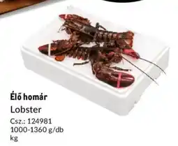 Metro Élő homár ajánlat