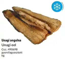 Metro Unagi angolna ajánlat