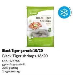 Metro Black Tiger garnéla 16/20 ajánlat