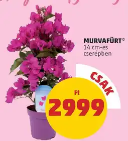 PENNY Murvafürt ajánlat