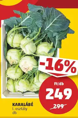 PENNY Karalábé ajánlat