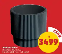 PENNY Virágcserép ajánlat