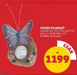 PENNY Szolár pillangó ajánlat