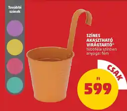 PENNY Színes akasztható virágtartó ajánlat